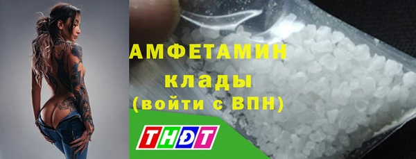 твердый Чекалин