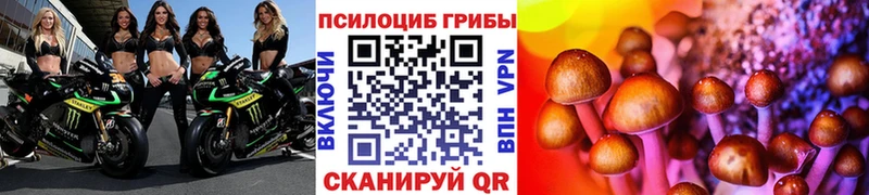 нарко площадка наркотические препараты  Набережные Челны  Псилоцибиновые грибы GOLDEN TEACHER 